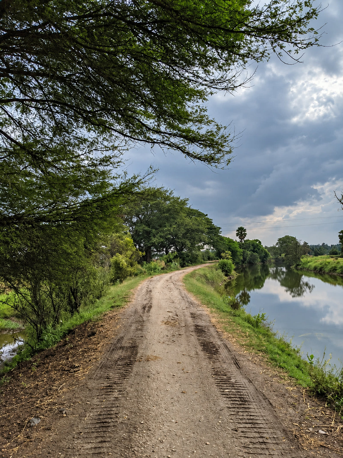 A tree-lined track beside a river in Tamil Nadu